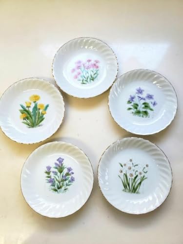 皿 セット 花柄」の人気商品一覧 | 安い商品を通販サイトから探す